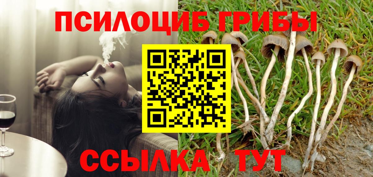 Псилоцибиновые грибы ЛСД  Галлюциногенные грибы Psilocybine cubensis  Вход с VPN  Аргун 